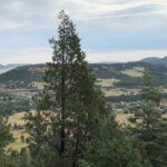 Hiking Trails in Colorado | Mount Herman Loop