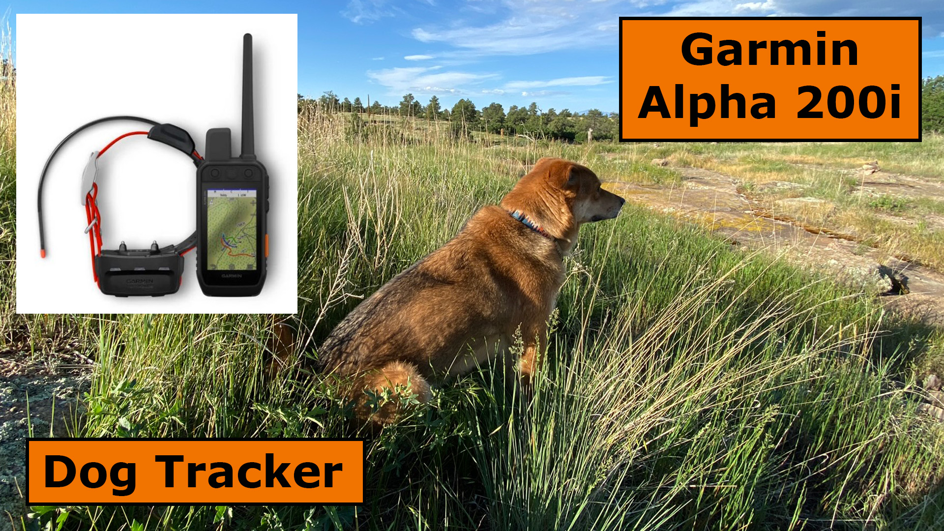 Garmin Alpha 200i Dog Tracker