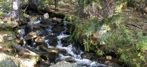 Tanglewood Trail - Mountain Stream