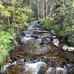 Hiking Trails in Colorado - Tanglewood Trail